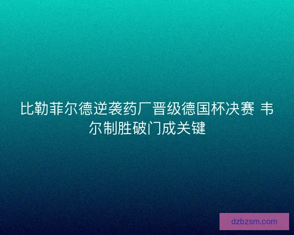 比勒菲尔德逆袭药厂晋级德国杯决赛 韦尔制胜破门成关键