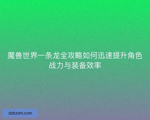 魔兽世界一条龙全攻略如何迅速提升角色战力与装备效率